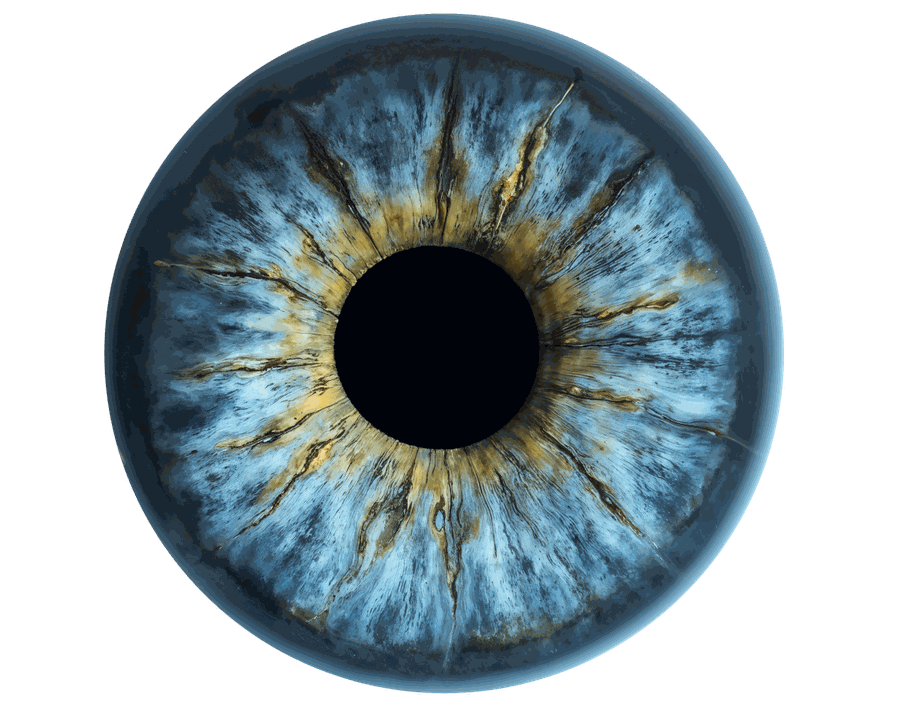 Augen- / Irisdiagnose